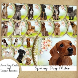 Spring Dog Plates