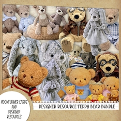 Designer Resource Teddy Bear Bundle