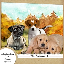 Dog Portraits 4