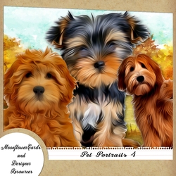 Dog Portraits 5