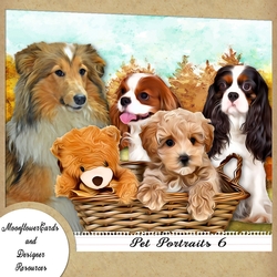 Dog Portraits 6