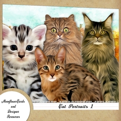 Cat Portraits 1