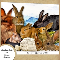 Easter Bunnies