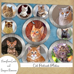 Cat Portrait Plates