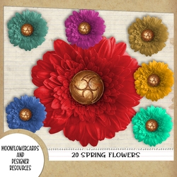 Designer Resource Spring Flowers