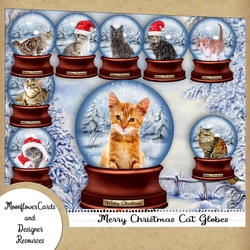 Christmas Cat Snow Globes