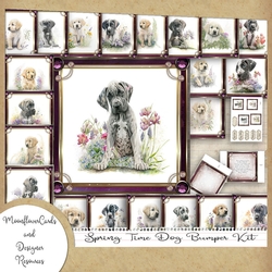 Spring Time Dog Bumper Kit