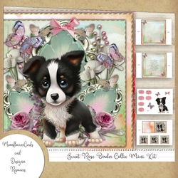 Sweet Rose Border Collie Mini Kit