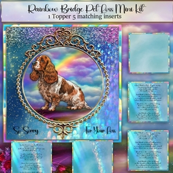 Rainbow Bridge Pet Loss English cocker spaniel