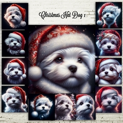 Christmas Hat Dog 1