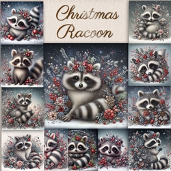 Christmas  Racoon 1