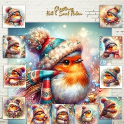 Christmas Hat & Scarf Robin