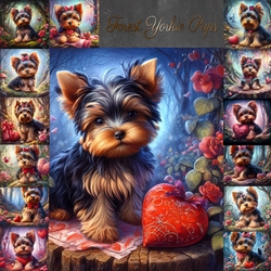 Forest Yorkie Pups