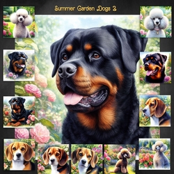 Summer Garden Dog 2
