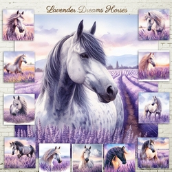 Lavender Dreams  Horses