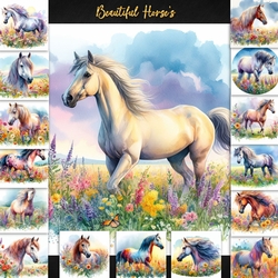 Beautiful Horses