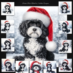 Santa Hat Black and White Cavapoo