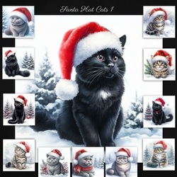 Santa Hat Cat 1