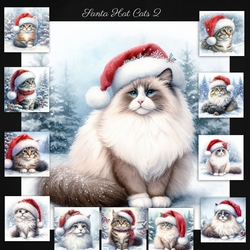 Santa Hat Cat 2