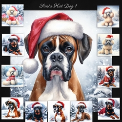 Santa Hat Dogs 1