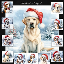 Santa Hat Dogs 2