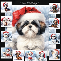 Santa Hat Dogs 3