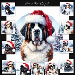 Santa Hat Dogs 5