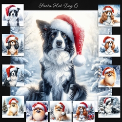 Santa Hat Dogs 6