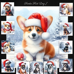 Santa Hat Dogs 7