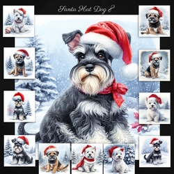 Santa Hat Dogs 8