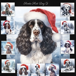 Santa Hat Dogs 9