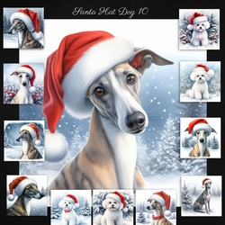 Santa Hat Dogs 10