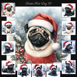Santa Hat Dogs 12
