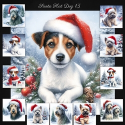 Santa Hat Dogs 13