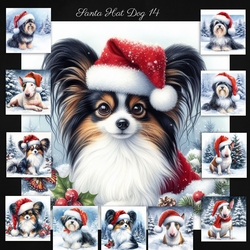 Santa Hat Dogs 14