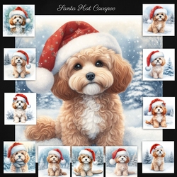 Santa Hat Cavapoo
