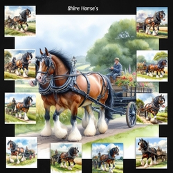 Shire Horses