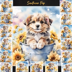 Sunflower Pup 