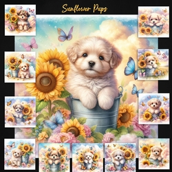 Sunflower Pup 2