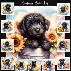 Sunflower Bucket Pup