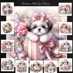 Christmas Shih Tzu Puppy