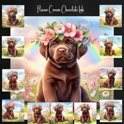 Flower Crown Chocolate Lab