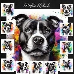 Staffie Splash