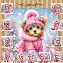 Christmas Cutie