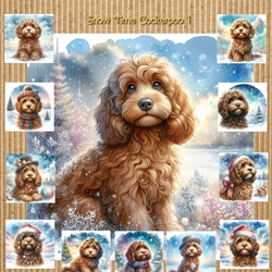 Snow Time Cockerpoo 1
