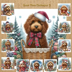 Snow Time Cockerpoo 2