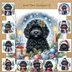 Snow Time Cockerpoo 3