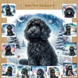 Snow Time Cockerpoo 4