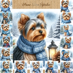 Snow Time Yorkie