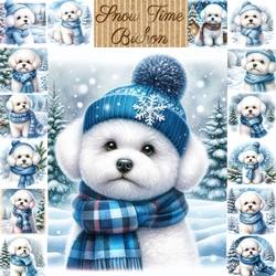 Snow Time Bichon